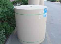 大連仲益紙業(yè)有限公司