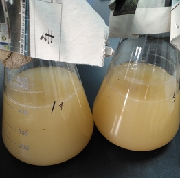 濟南瑞豐生物工程有限公司