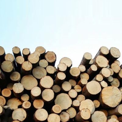 桐鄉市恒藝木業股份有限公司