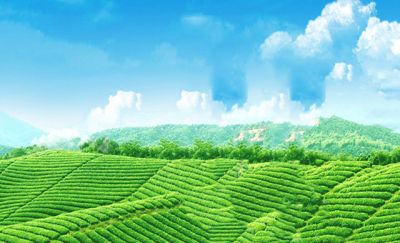 秦皇島禾惠農(nóng)業(yè)科技有限公司