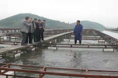 重慶長豐魚苗水產養殖場