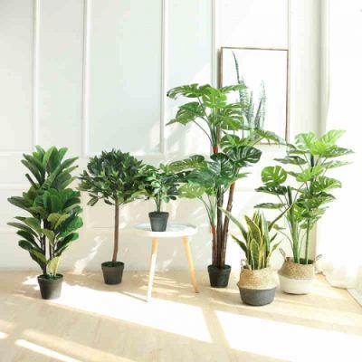 廣州市植覺空間園藝工程有限公司