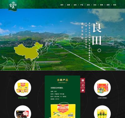 沈陽凱鴻科技有限公司