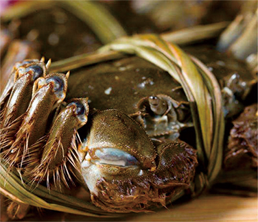 漢川市南河古渡生態農業發展有限責任公司