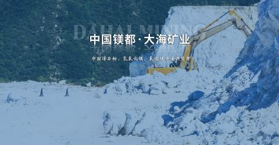 營口大?；V業有限公司