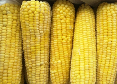 唐山恒騰食品有限公司