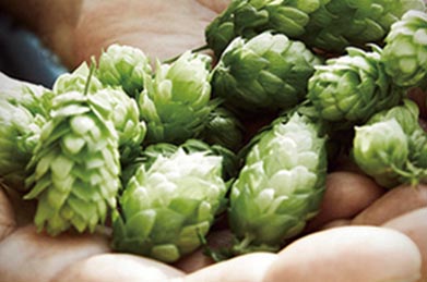 青島燕山啤酒有限公司