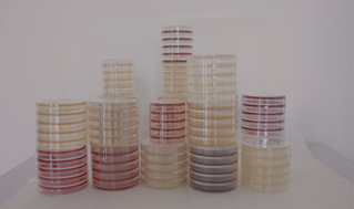 河南美凱生物科技有限公司