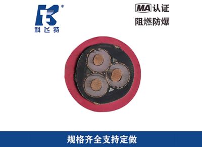 重慶科飛線纜有限公司