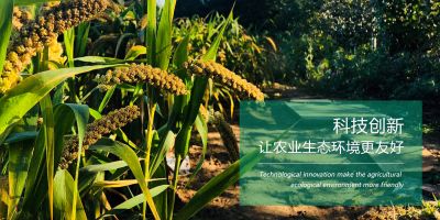 鶴壁市賽科化工有限公司