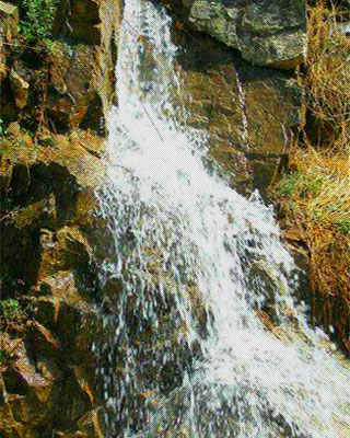 本溪龍山泉啤酒有限公司