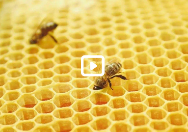 上海蔻顏生物科技有限公司