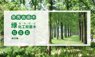 東臺余秀春苗木專業合作社