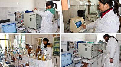 揚(yáng)州晨化新材料股份有限公司