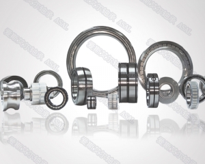 常州市愛斯艾爾軸承制造有限公司