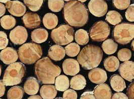 東莞市清流實業有限公司