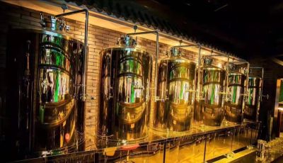 河南波恩貝爾啤酒技術(shù)開(kāi)發(fā)有限公司