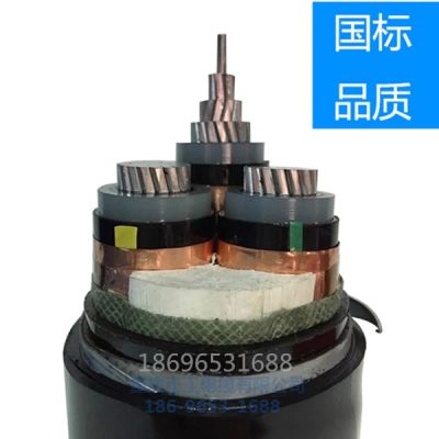 重慶正工電纜有限公司