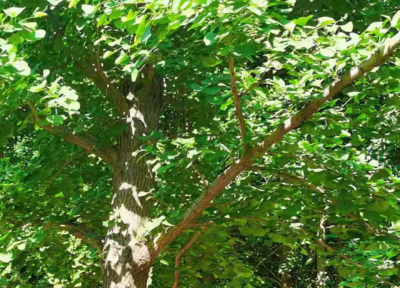 錦州宏澤橡膠制品有限公司