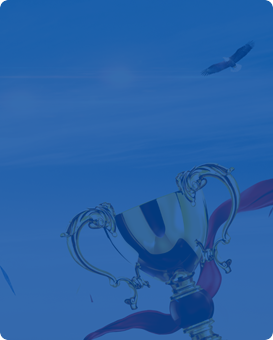 海城市東四管理區(qū)博騰彩板廠