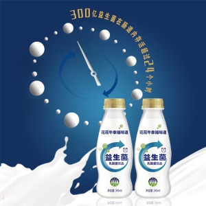 河南鄭牛食品有限公司