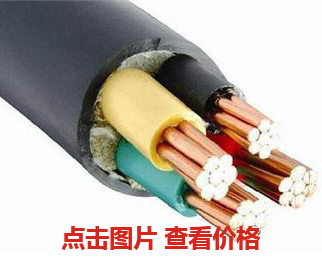 南昌新華電纜有限公司