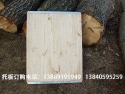 遼寧鴻盛托板廠