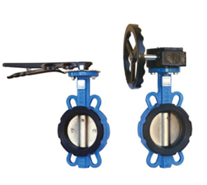 天津市東麒閥門制造有限公司