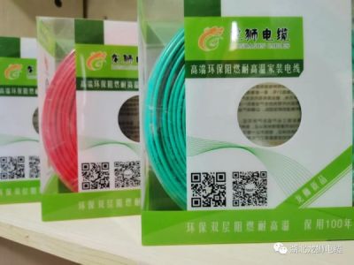 湖北龍獅節(jié)能環(huán)保特種電纜有限公司