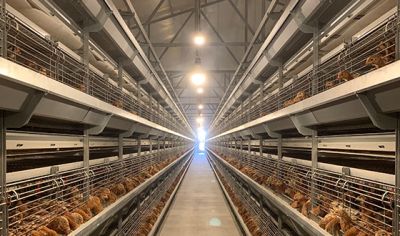 遼陽縣億陽飼料有限公司