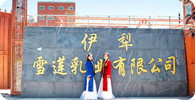 伊犁雪蓮乳業(yè)有限公司