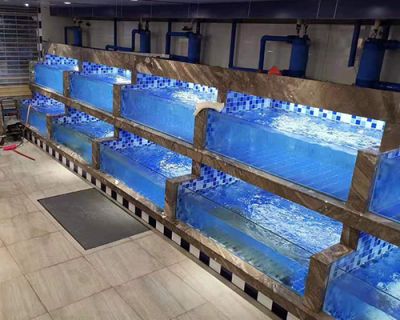 成都熊珊瑚科技有限公司