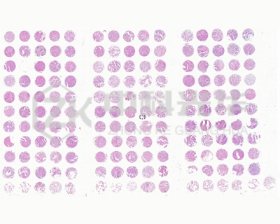 中科光華（西安）智能生物科技有限公司