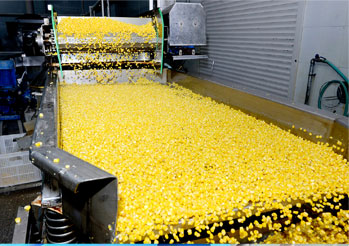 唐山楚樂食品有限公司