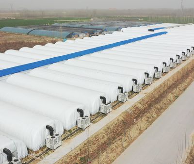 山東遠洋農業開發有限公司