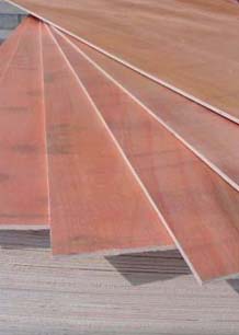 大連森太木業有限公司