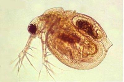 盱眙萬隆生態(tài)龍蝦產(chǎn)業(yè)開發(fā)有限公司