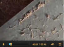 北京美科達科技發(fā)展有限公司