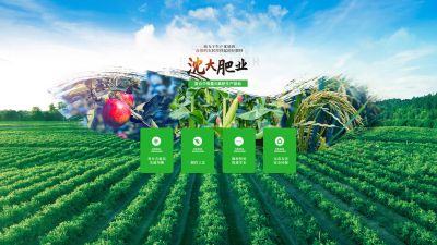 營口沈大肥業有限公司