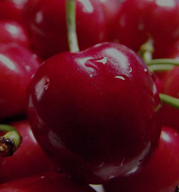 大連紅核特色小鎮(zhèn)農(nóng)業(yè)有限公司