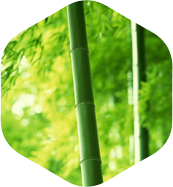 瀘州錦蘭科技有限公司