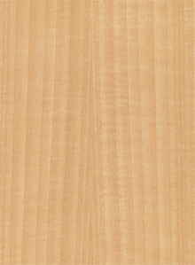 重慶藍熊家居有限公司