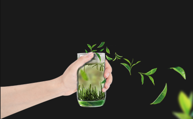 湖北綠可生態茶業有限公司