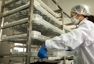 大連富漁島海洋生物科技有限公司