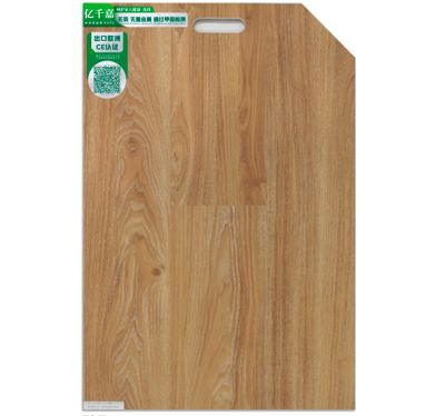 大連輝明邁進新材料有限公司