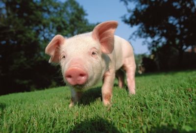 河南省圖天新能源科技有限公司