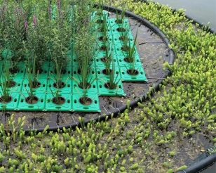 河北雄安荷景園林綠化工程有限公司