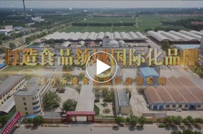 濰坊樂港食品股份有限公司