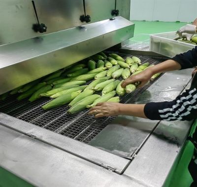 成都威萊爾低溫設(shè)備有限公司