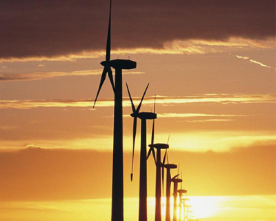 浙江睿躍防爆電器有限公司